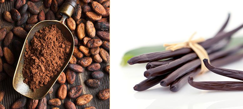 Au roi Soleil, our values regarding chocolate