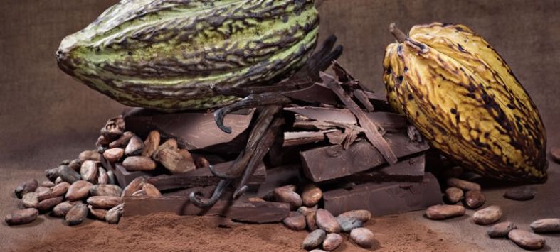 Pure cocoa origin, artisanal manufacturing