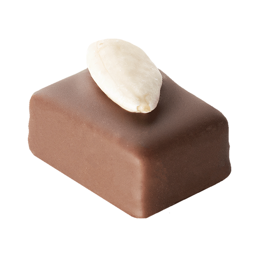 El Jardin - chocolat noir