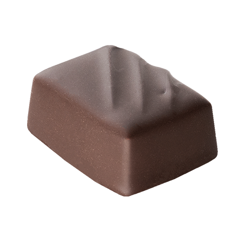 El Jardin - chocolat noir avec ganache