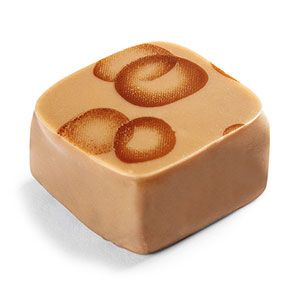 Cassenoisette - Milk chocolate